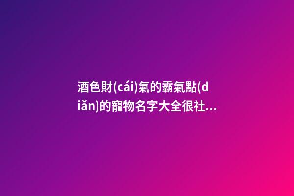 酒色財(cái)氣的霸氣點(diǎn)的寵物名字大全很社會(huì)