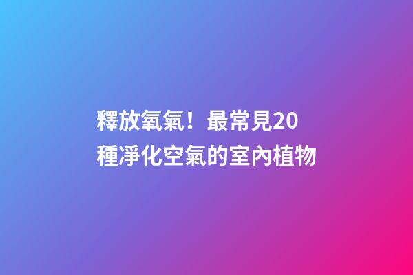 釋放氧氣！最常見20種凈化空氣的室內植物
