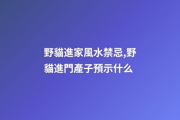 野貓進家風水禁忌,野貓進門產子預示什么