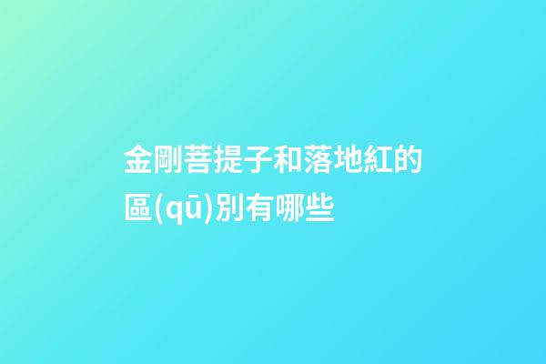 金剛菩提子和落地紅的區(qū)別有哪些