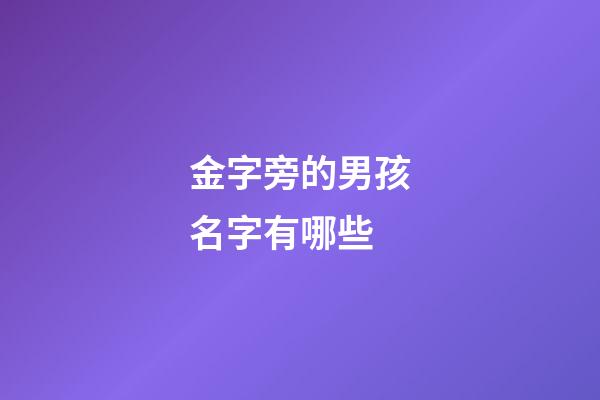 金字旁的男孩名字有哪些