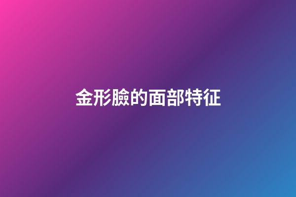 金形臉的面部特征