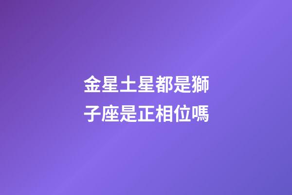 金星土星都是獅子座是正相位嗎-第1張-星座運勢-玄機派