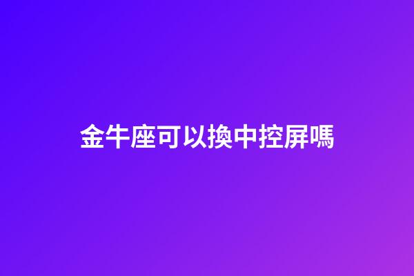 金牛座可以換中控屏嗎