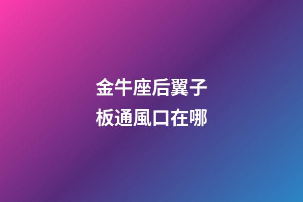 金牛座后翼子板通風口在哪-第1張-星座運勢-玄機派