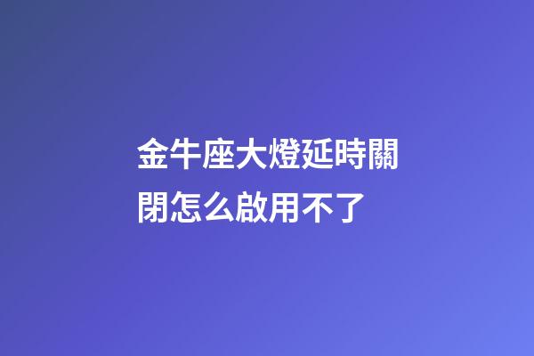 金牛座大燈延時關閉怎么啟用不了