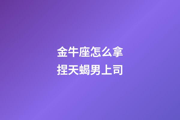 金牛座怎么拿捏天蝎男上司-第1張-星座運(yùn)勢-玄機(jī)派