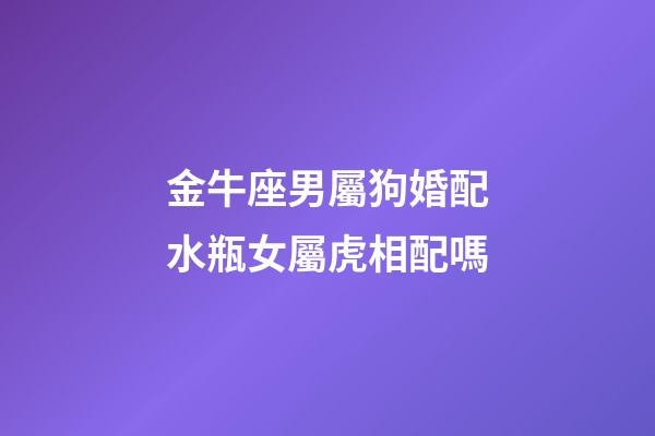 金牛座男屬狗婚配水瓶女屬虎相配嗎-第1張-星座運勢-玄機派