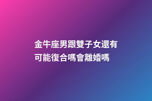 金牛座男跟雙子女還有可能復合嗎會離婚嗎-第1張-星座運勢-玄機派