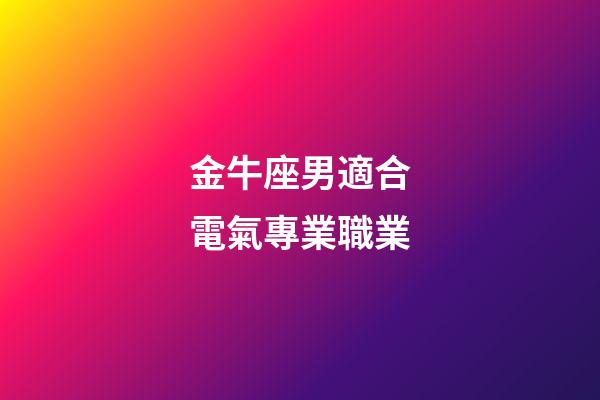 金牛座男適合電氣專業職業-第1張-星座運勢-玄機派