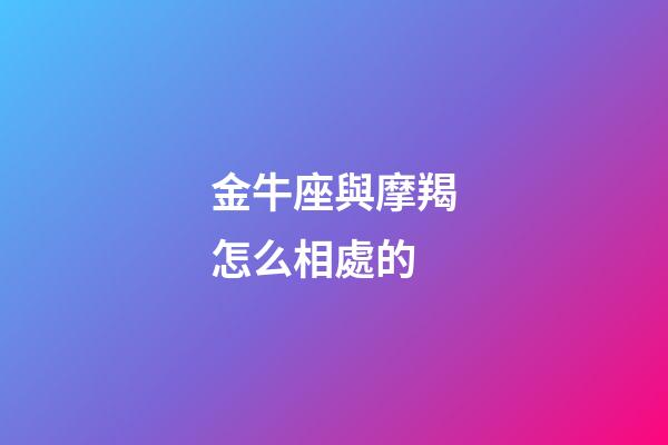 金牛座與摩羯怎么相處的-第1張-星座運(yùn)勢(shì)-玄機(jī)派