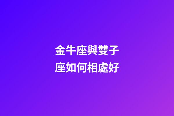 金牛座與雙子座如何相處好-第1張-星座運勢-玄機派