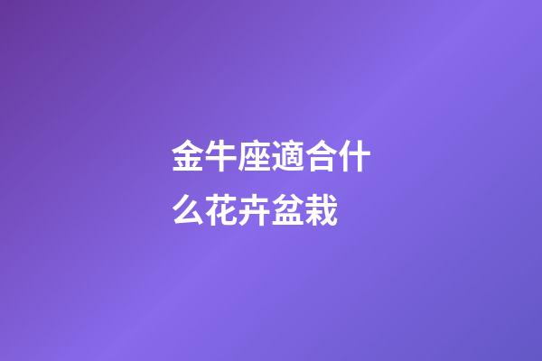 金牛座適合什么花卉盆栽-第1張-星座運勢-玄機派