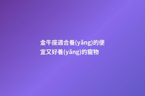 金牛座適合養(yǎng)的便宜又好養(yǎng)的寵物-第1張-星座運(yùn)勢(shì)-玄機(jī)派