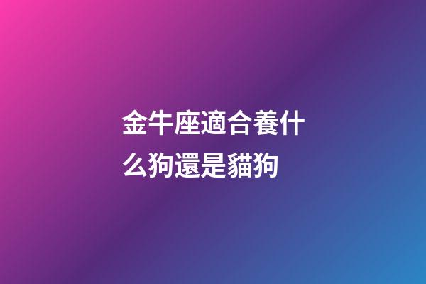 金牛座適合養什么狗還是貓狗-第1張-星座運勢-玄機派