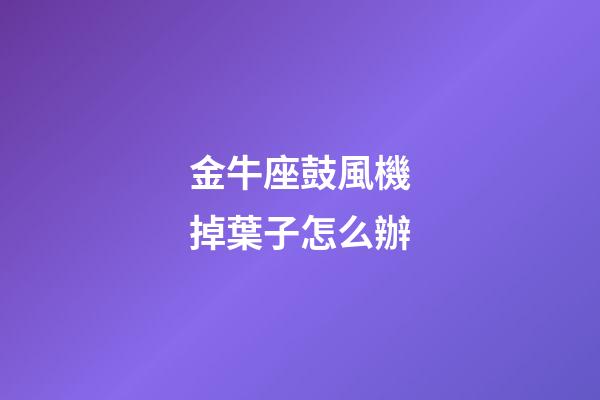 金牛座鼓風機掉葉子怎么辦-第1張-星座運勢-玄機派