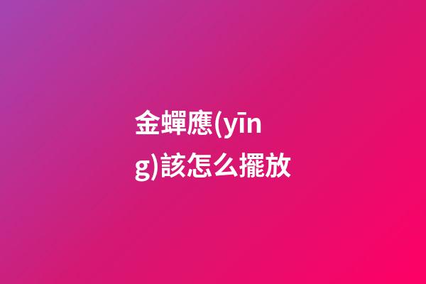 金蟬應(yīng)該怎么擺放