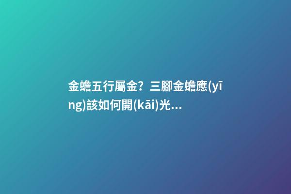 金蟾五行屬金？三腳金蟾應(yīng)該如何開(kāi)光？