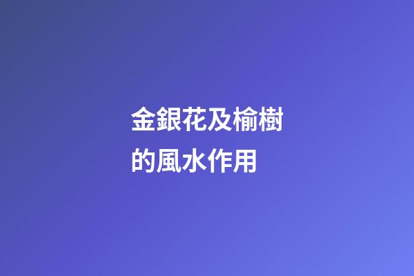 金銀花及榆樹的風水作用