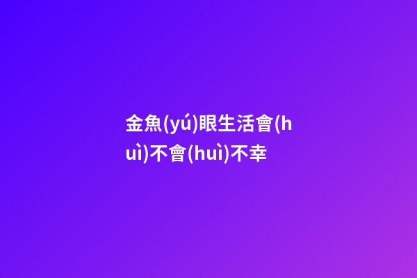 金魚(yú)眼生活會(huì)不會(huì)不幸