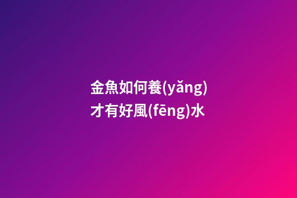 金魚如何養(yǎng)才有好風(fēng)水