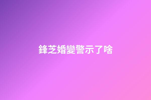 鋒芝婚變警示了啥