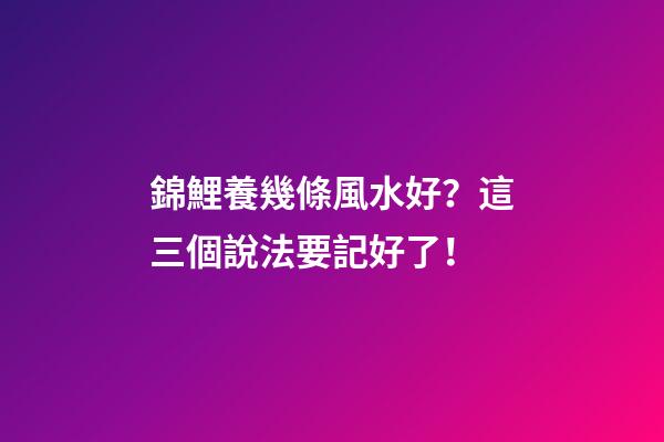錦鯉養幾條風水好？這三個說法要記好了！