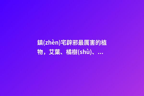鎮(zhèn)宅辟邪最厲害的植物，艾葉、橘樹(shù)、桃樹(shù)等