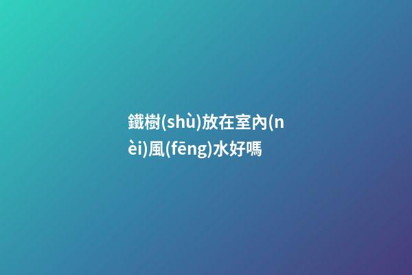 鐵樹(shù)放在室內(nèi)風(fēng)水好嗎