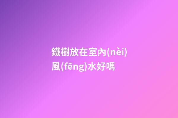 鐵樹放在室內(nèi)風(fēng)水好嗎