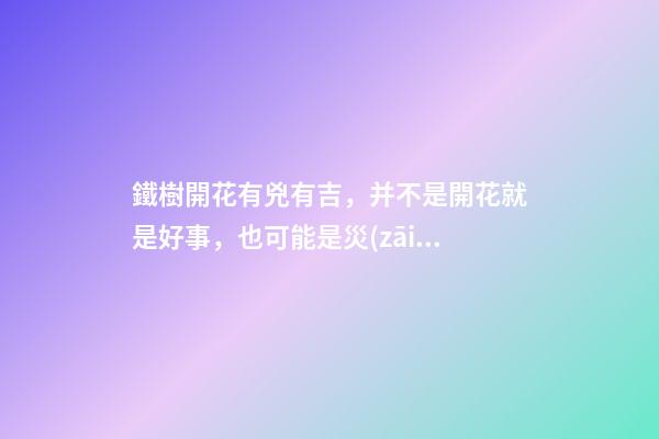 鐵樹開花有兇有吉，并不是開花就是好事，也可能是災(zāi)難來(lái)臨