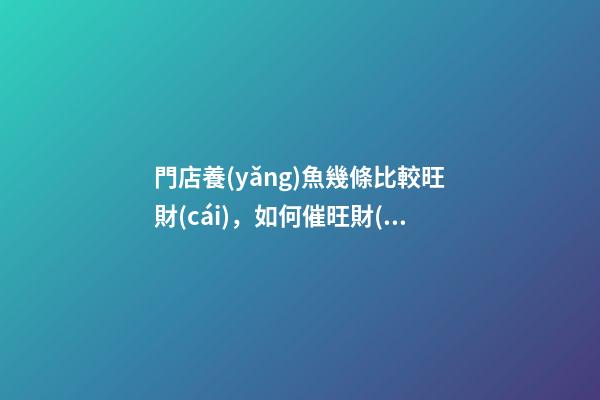 門店養(yǎng)魚幾條比較旺財(cái)，如何催旺財(cái)運(yùn)