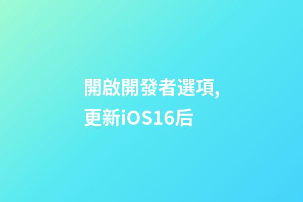 開啟開發者選項,更新iOS16后-第1張-觀點-玄機派
