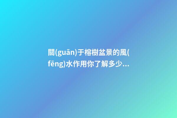 關(guān)于榕樹盆景的風(fēng)水作用你了解多少？