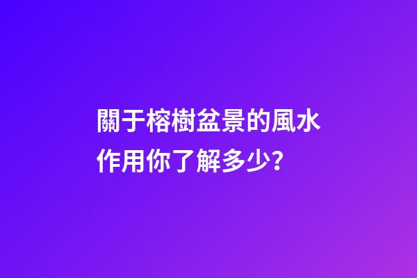 關于榕樹盆景的風水作用你了解多少？