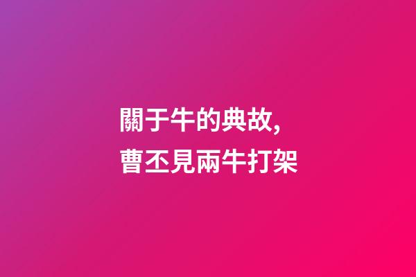 關于牛的典故,曹丕見兩牛打架-第1張-觀點-玄機派