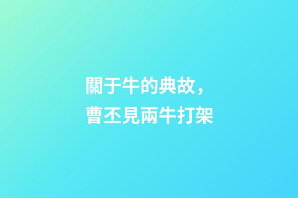 關于牛的典故，曹丕見兩牛打架-第1張-觀點-玄機派