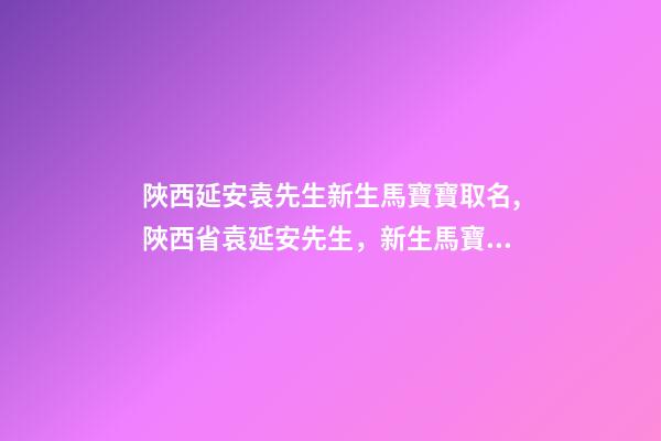 陜西延安袁先生新生馬寶寶取名,陜西省袁延安先生，新生馬寶寶姓名-第1張-公司起名-玄機派
