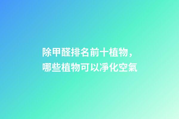 除甲醛排名前十植物，哪些植物可以凈化空氣