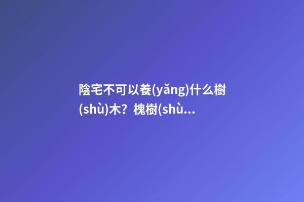 陰宅不可以養(yǎng)什么樹(shù)木？槐樹(shù)不能有
