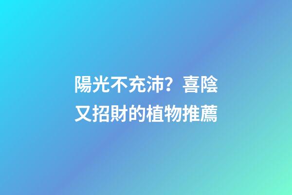 陽光不充沛？喜陰又招財的植物推薦