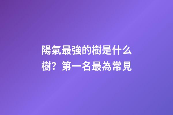 陽氣最強的樹是什么樹？第一名最為常見