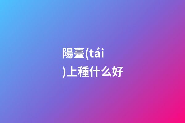 陽臺(tái)上種什么好