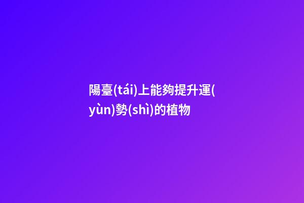 陽臺(tái)上能夠提升運(yùn)勢(shì)的植物