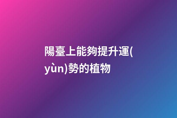 陽臺上能夠提升運(yùn)勢的植物
