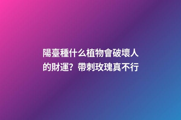 陽臺種什么植物會破壞人的財運？帶刺玫瑰真不行