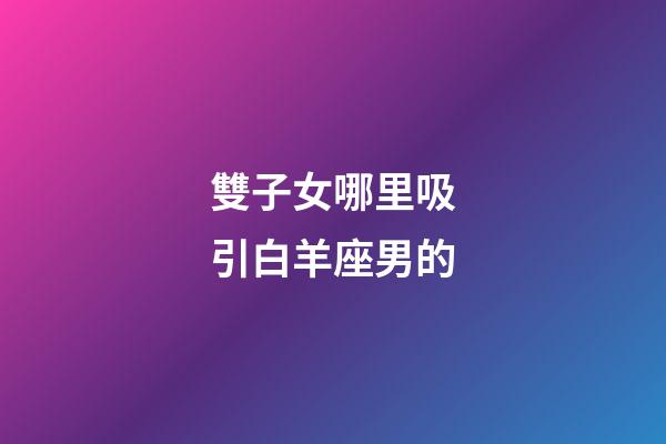 雙子女哪里吸引白羊座男的