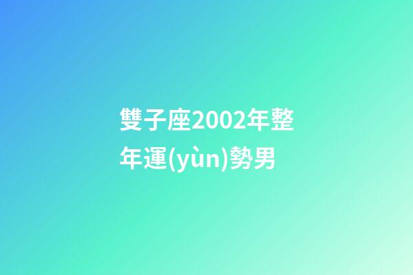 雙子座2002年整年運(yùn)勢男