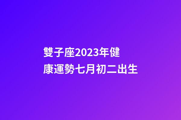 雙子座2023年健康運勢七月初二出生-第1張-星座運勢-玄機派