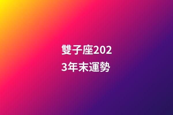雙子座2023年末運勢-第1張-星座運勢-玄機派
